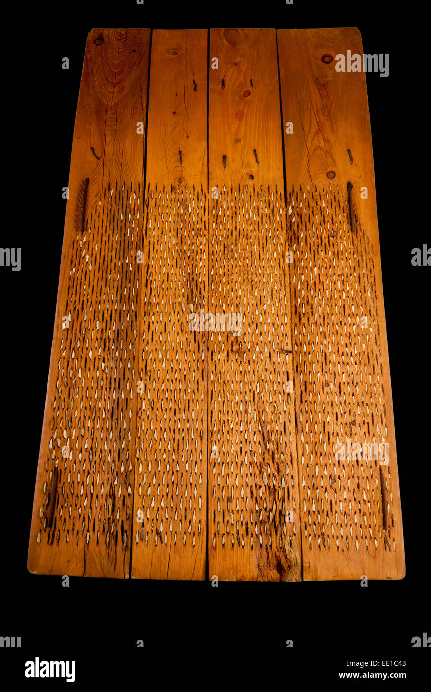 Tribulum hi-res stock photography and images - Alamy