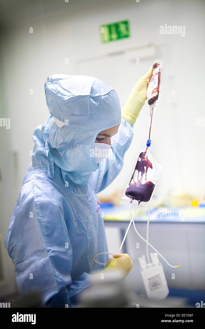 Human stem cell multipotent hi-res stock photography and images - Alamy