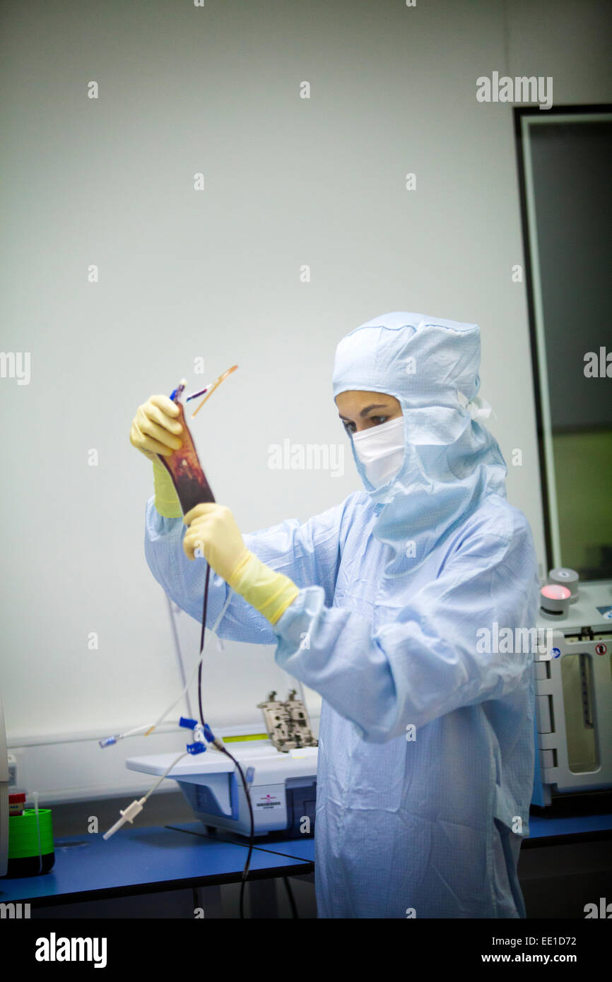 Human stem cell multipotent hi-res stock photography and images - Alamy