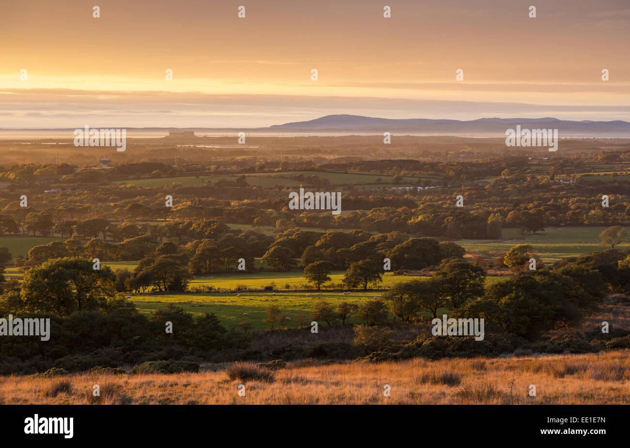 View of farmland on coastal plain at sunset, looking towards Morecambe Bay with Lake District fells in background, The Fylde, Lancashire, England, September Stock Photo