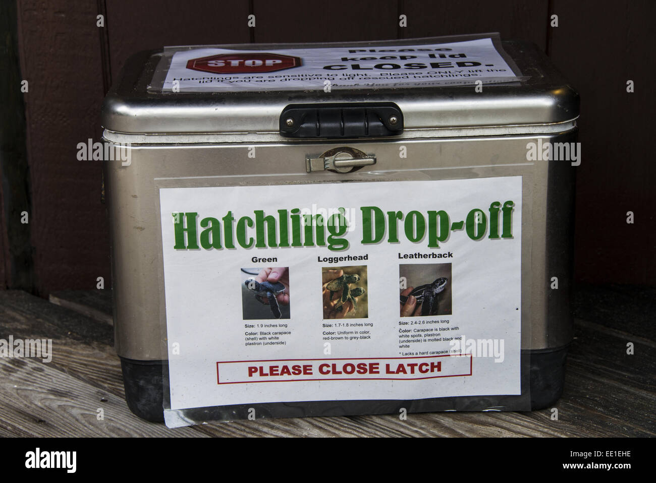 Turtle conservation, 'Hatchling Dropoff' container for rescued sea