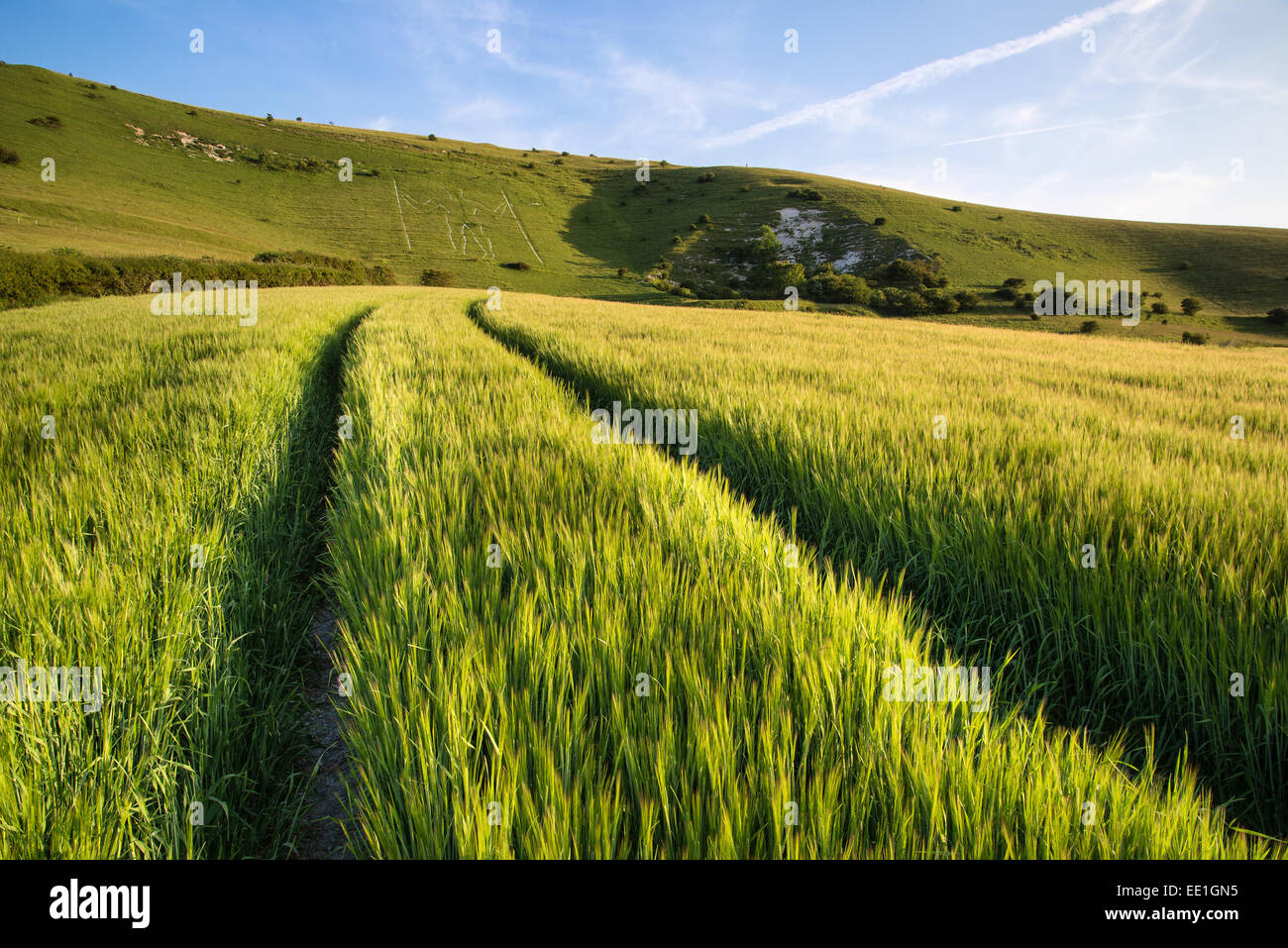 Summer landscape image of ancient chalk carving in hillside Long Man of Wilmington Stock Photo