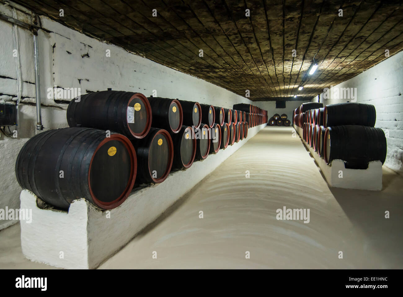 Huge barrels of wine in the cellars of Cricova, one of the largest wineries of the world, Moldova, Europe Stock Photo