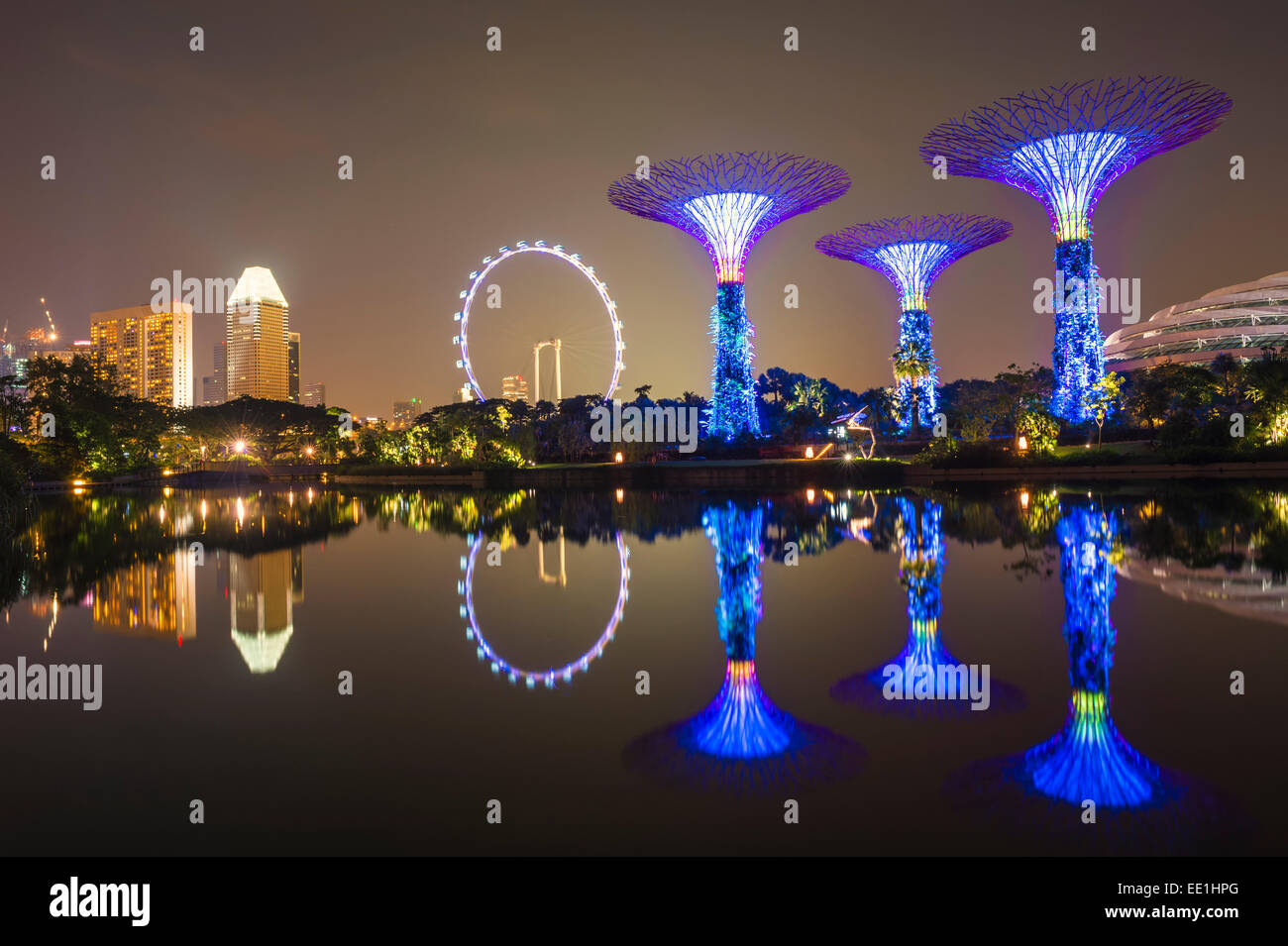 Singapore Gardens By The Bay Night High Resolution Stock Photography ...