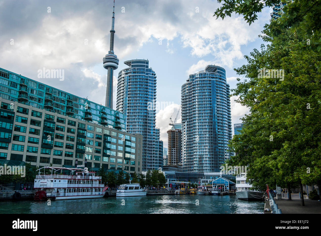 The CN Tower behind high rise buildings in downtown Toronto, Ontario