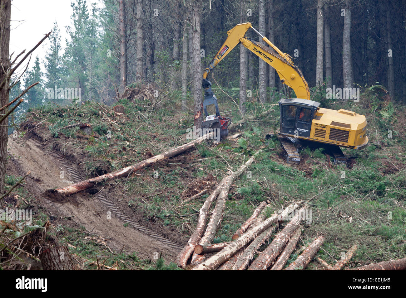 Forestry felling machine,Waikato, North Island, New Zealand, Pacific Stock Photo