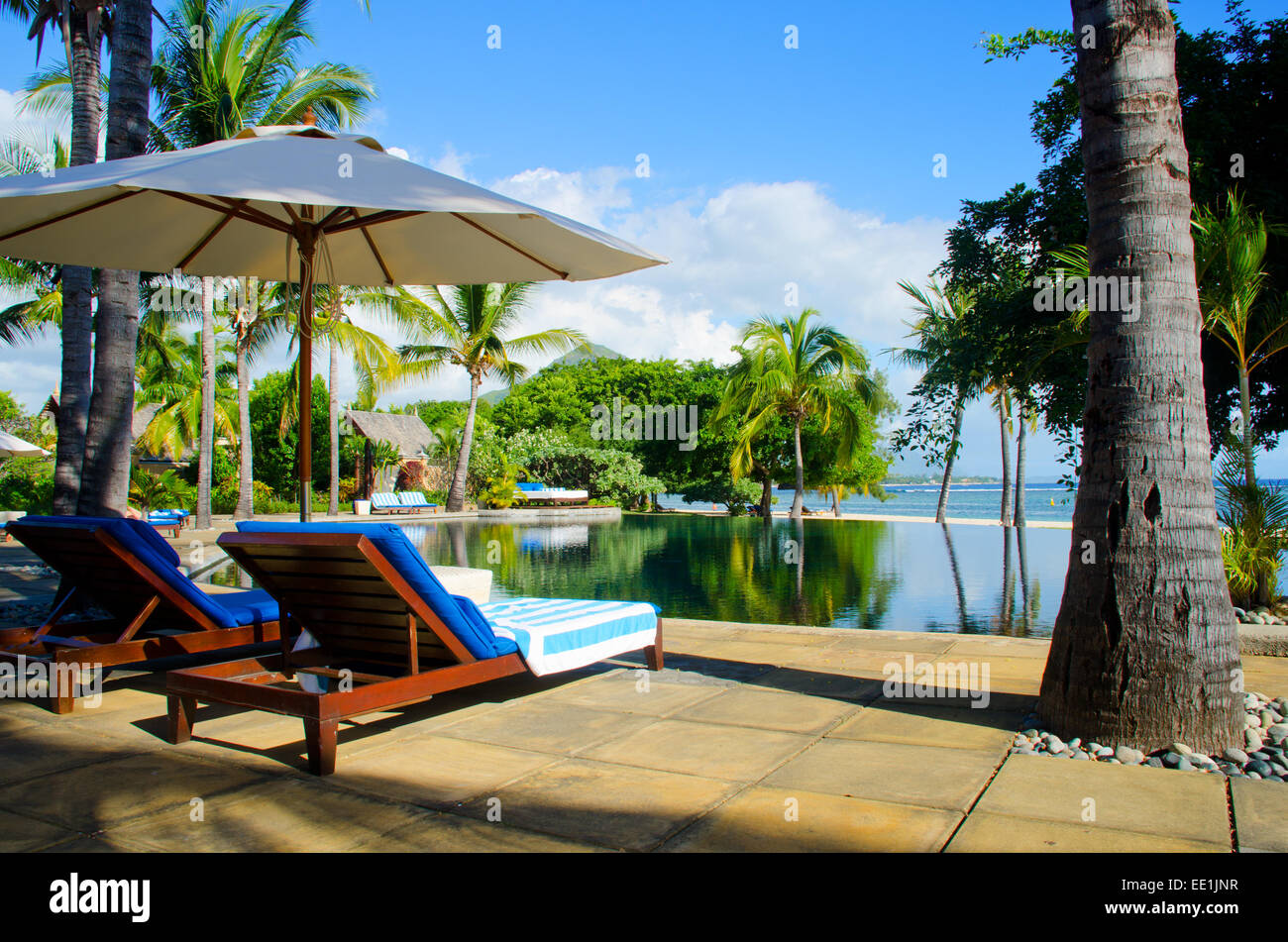 Beautiful swimming pool with palm trees hires stock photography and