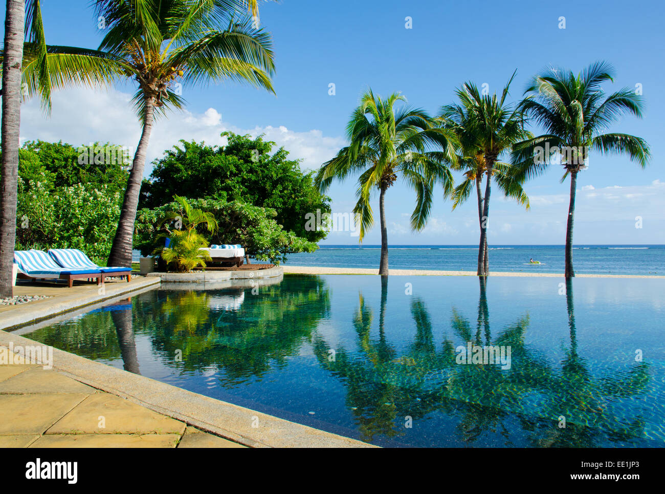 Palm trees reflecting in pool, Mauritius Stock Photo
