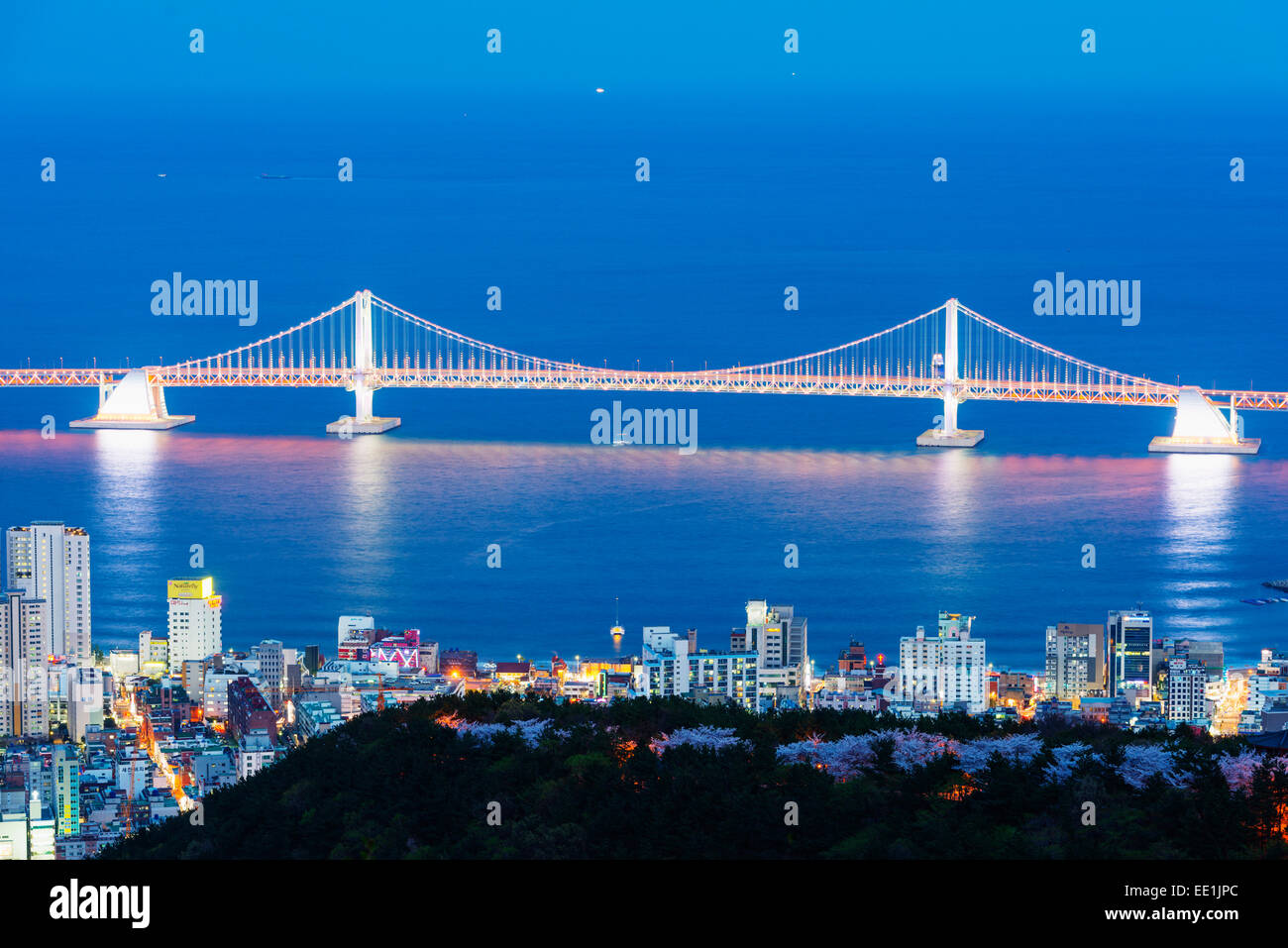 City skyline and Gwangang bridge, Busan, South Korea, Asia Stock Photo