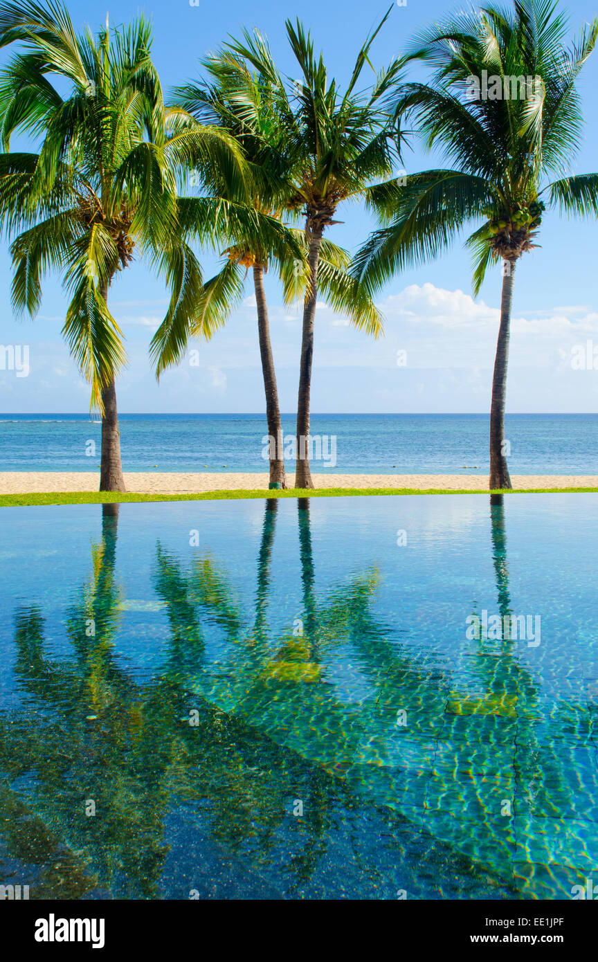 Palm trees reflecting in pool, Mauritius Stock Photo