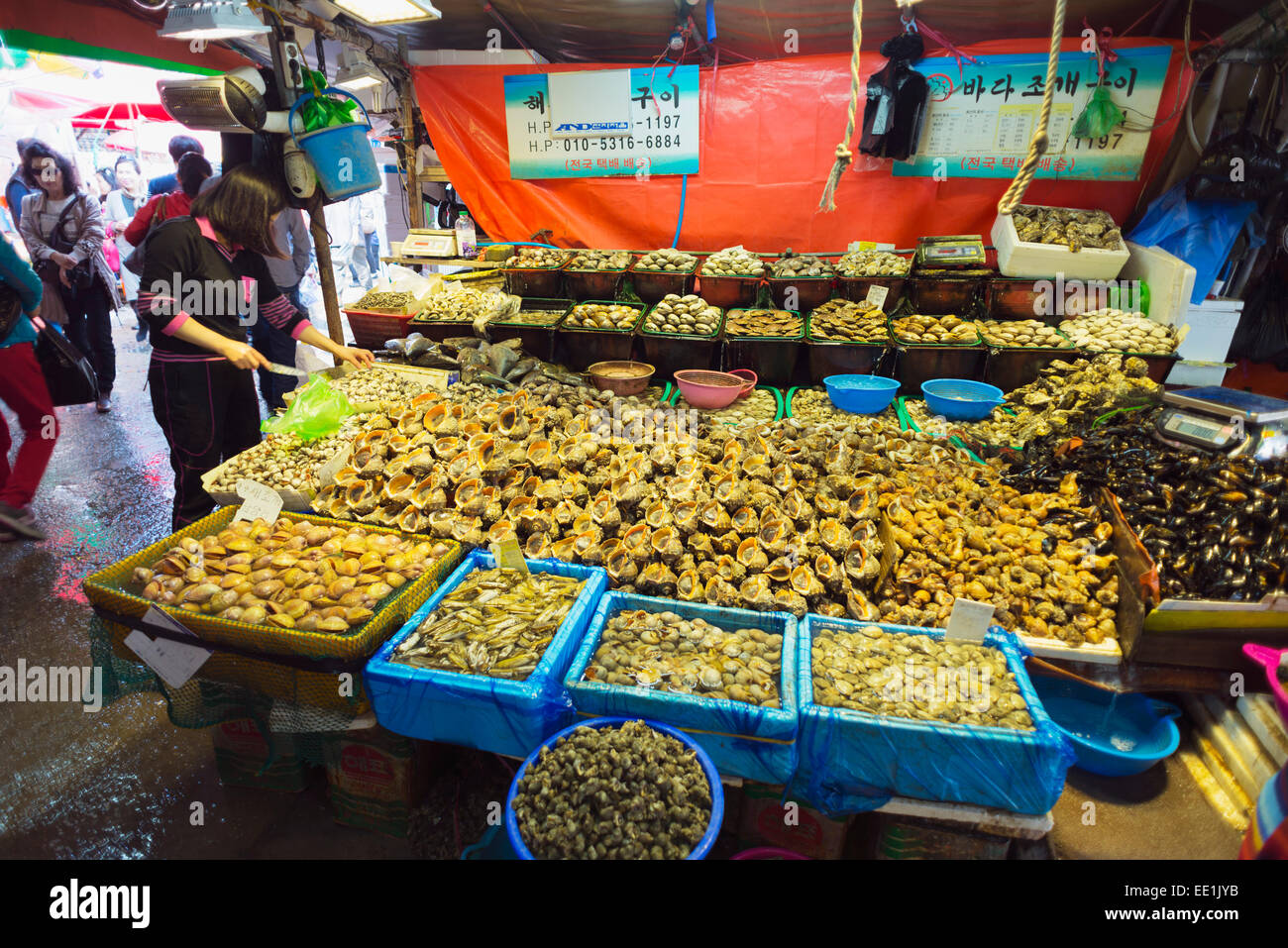 Shell fish, Incheon fish market, South Korea, Asia Stock Photo