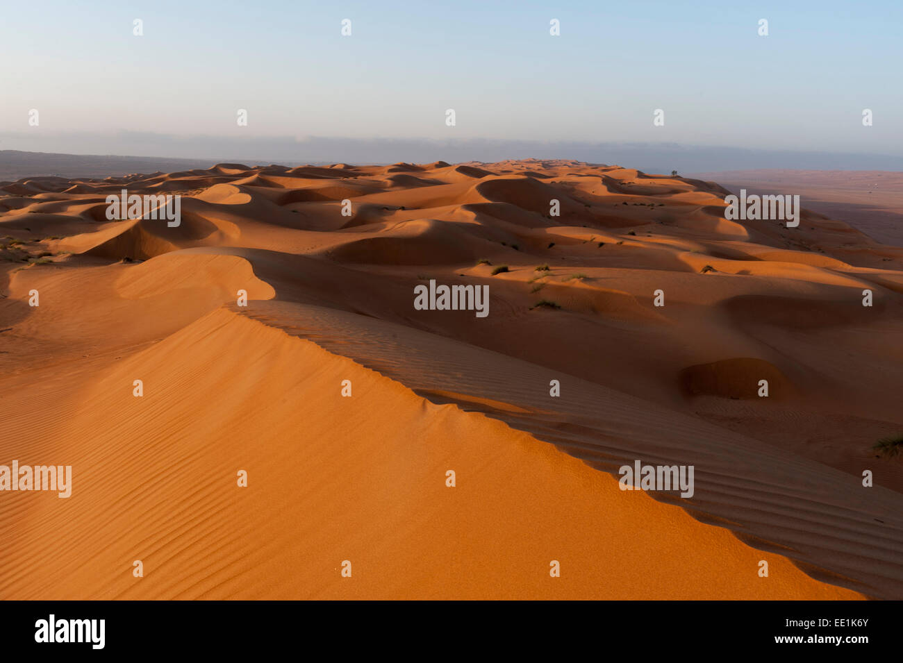 Wahiba Sands desert, Oman, Middle East Stock Photo