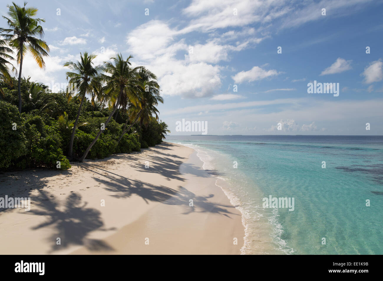 A deserted beach and tropical vegetation on an island in the Northern Huvadhu Atoll, Maldives, Indian Ocean, Asia Stock Photo