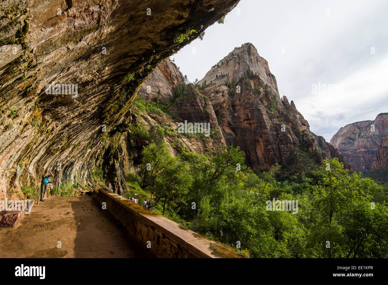 The Weeping Rock, a huge overlook in the Zion National Park, Utah, United States of America, North America Stock Photo