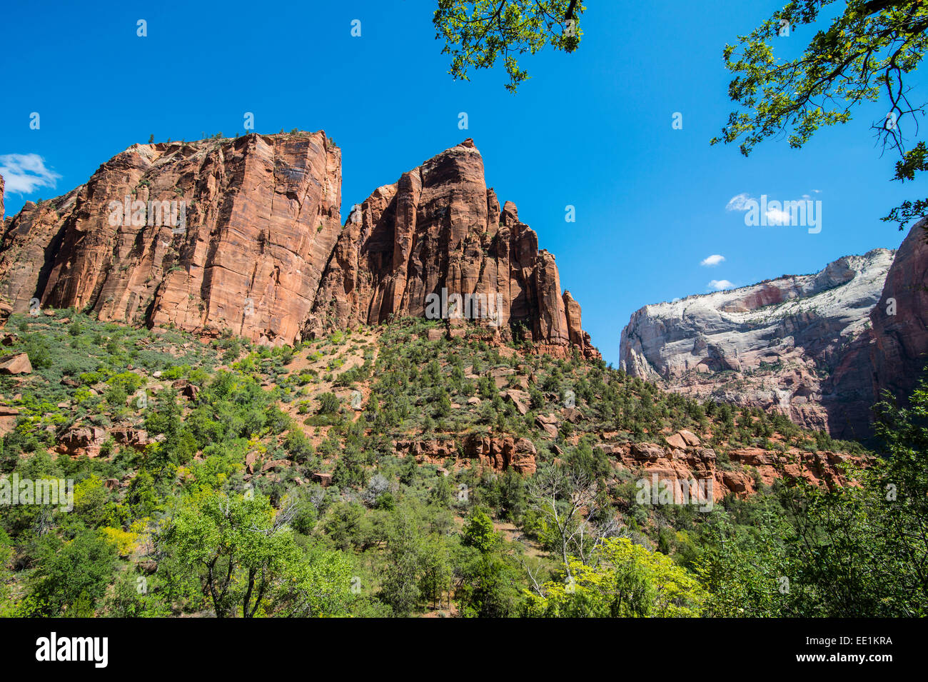 View over the towering cliffs of the Zion National Park, Utah, United States of America, North America Stock Photo