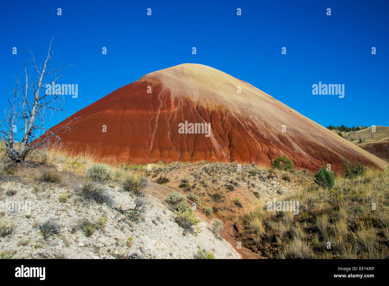 Multicoloured strata hill in the Painted Hills unit in the John Day Fossil Beds National Monument, Oregon, USA Stock Photo