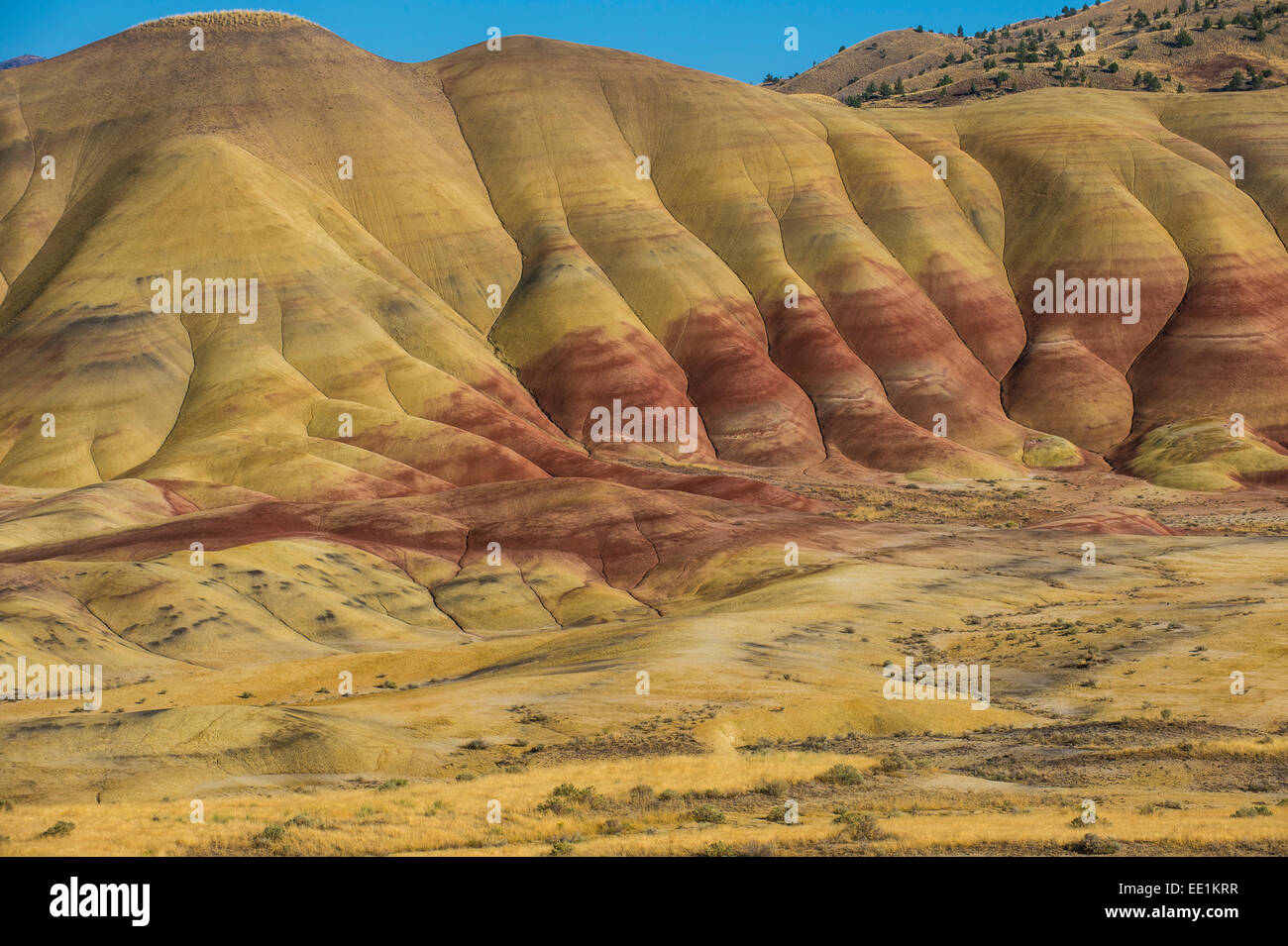 Multicoloured strata in the Painted Hills unit in the John Day Fossil Beds National Monument, Oregon, United States of America Stock Photo