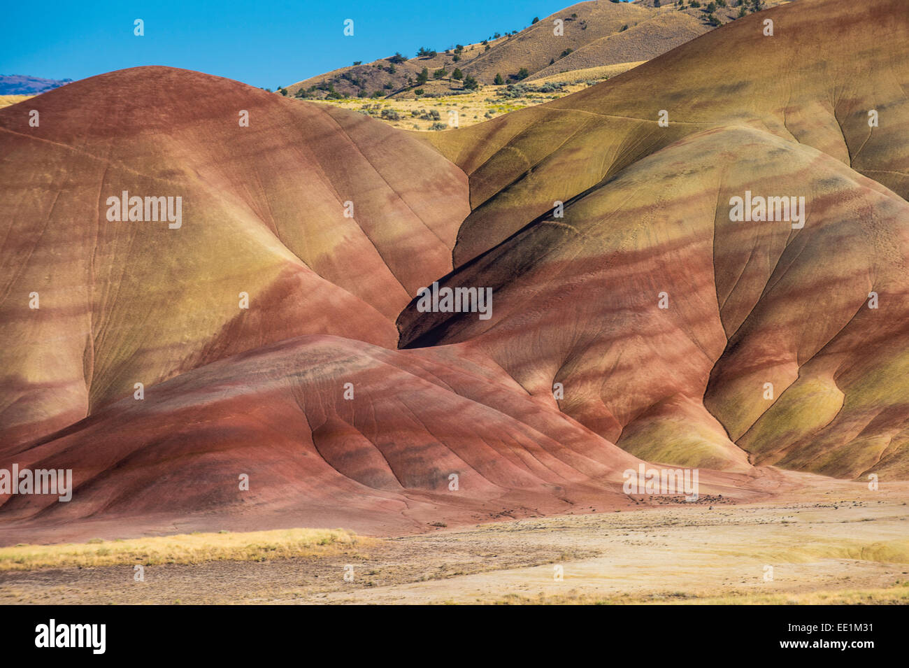 Multicoloured strata in the Painted Hills unit in the John Day Fossil Beds National Monument, Oregon, United States of America Stock Photo
