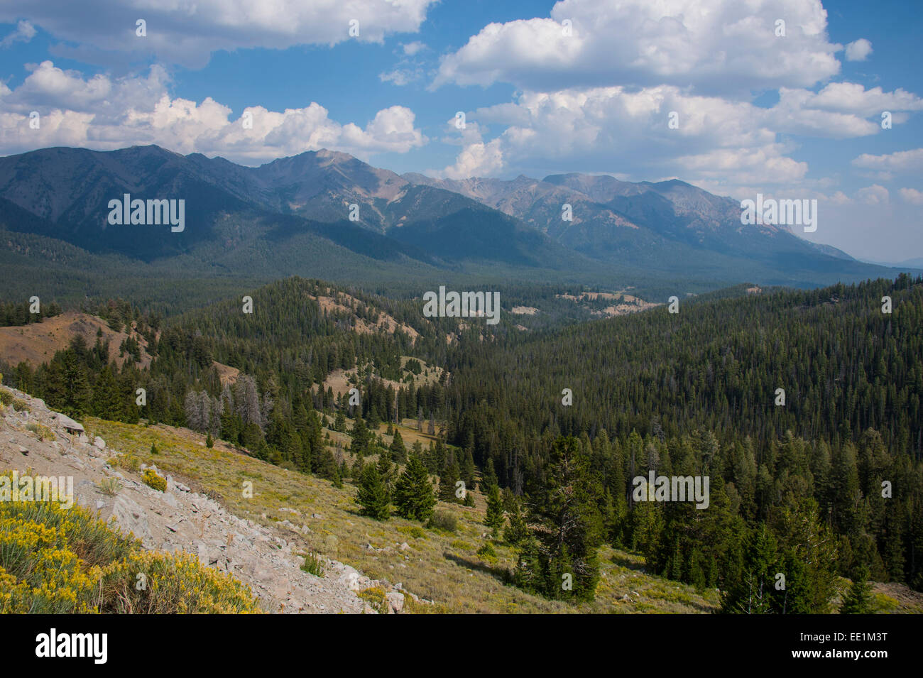 View over the Sawtooth National Forest north of Sun Valley, Idaho, United States of America, North America Stock Photo