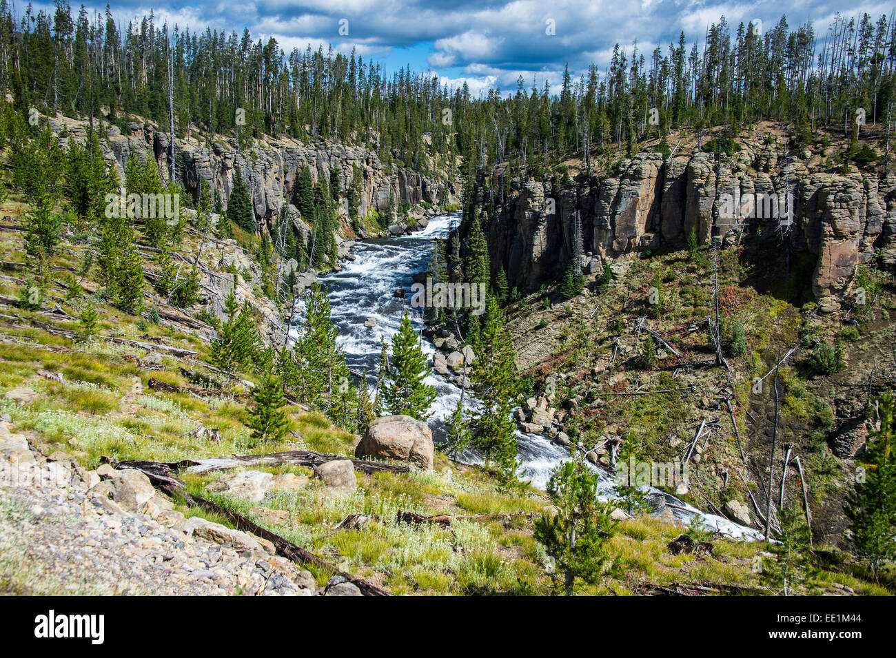 View over the Lewis River, Yellowstone National Park, UNESCO World Heritage Site, Wyoming, United States of America Stock Photo