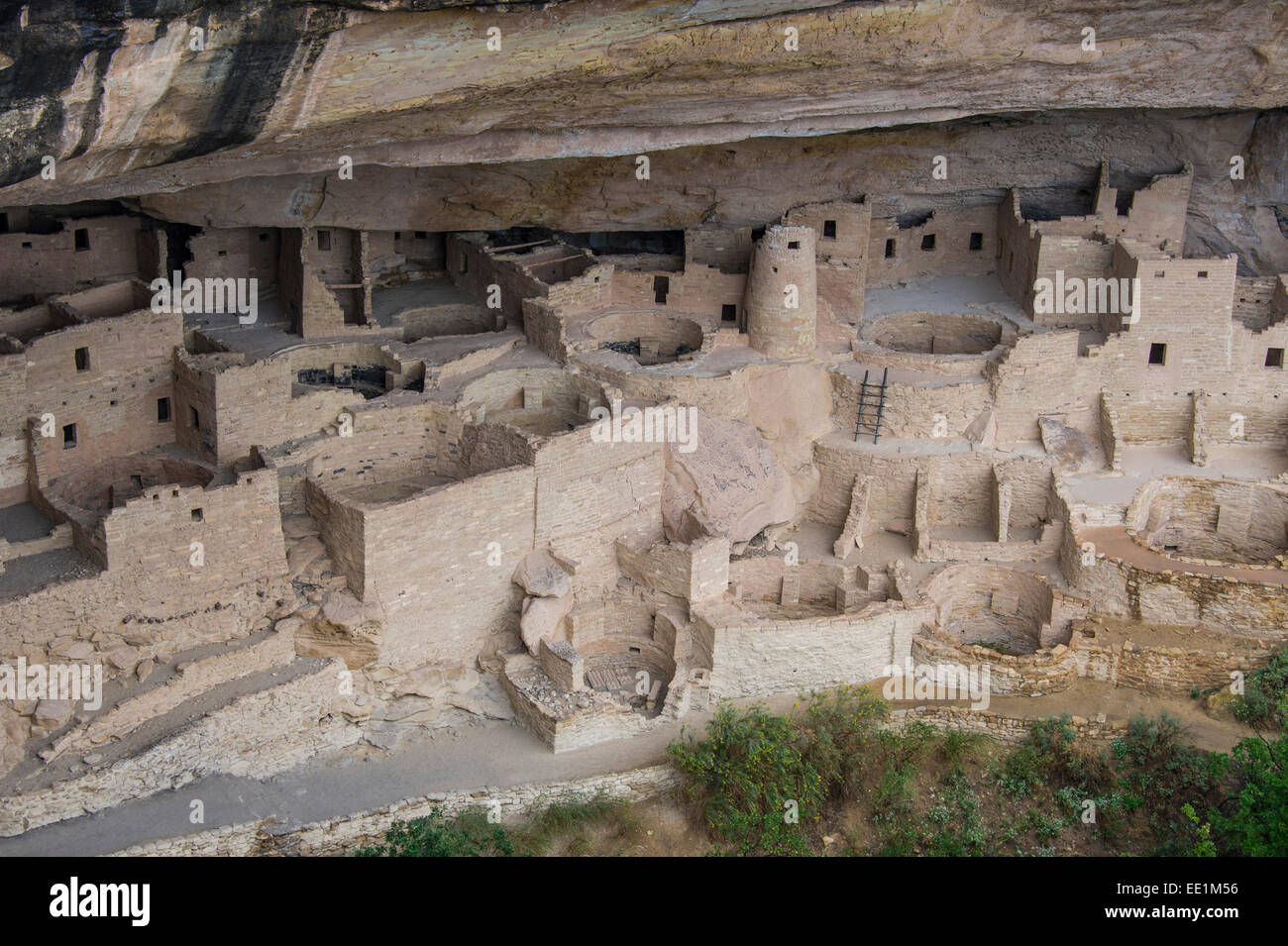 The Cliff Palace Indian dwelling, Mesa Verde National Park, UNESCO World Heritage Site, Colorado, United States of America Stock Photo