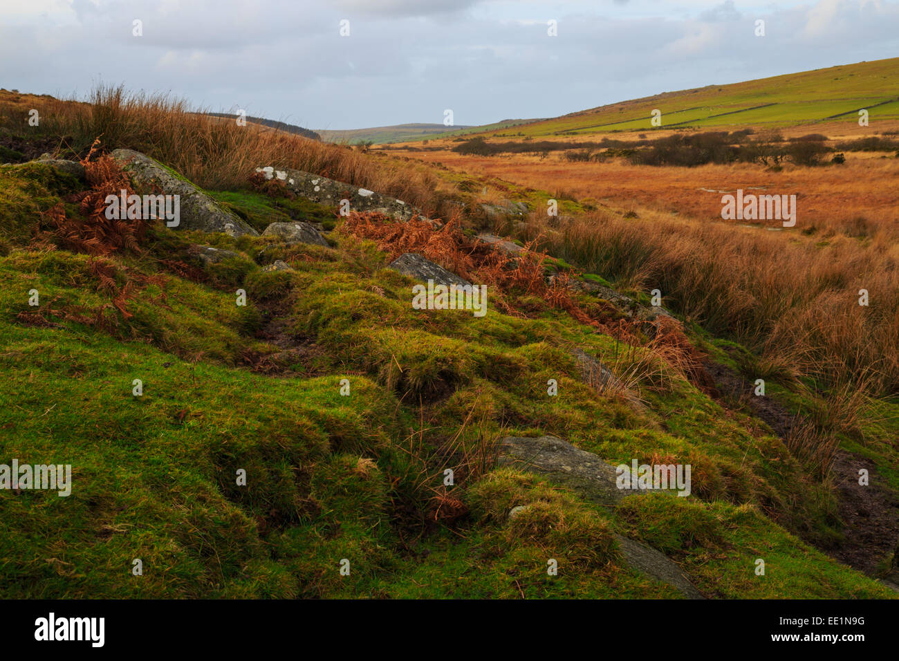 Gold-diggings Quarry (Swit Quarry), Craddock Moor, St Cleer, Cornwall,  England, UK