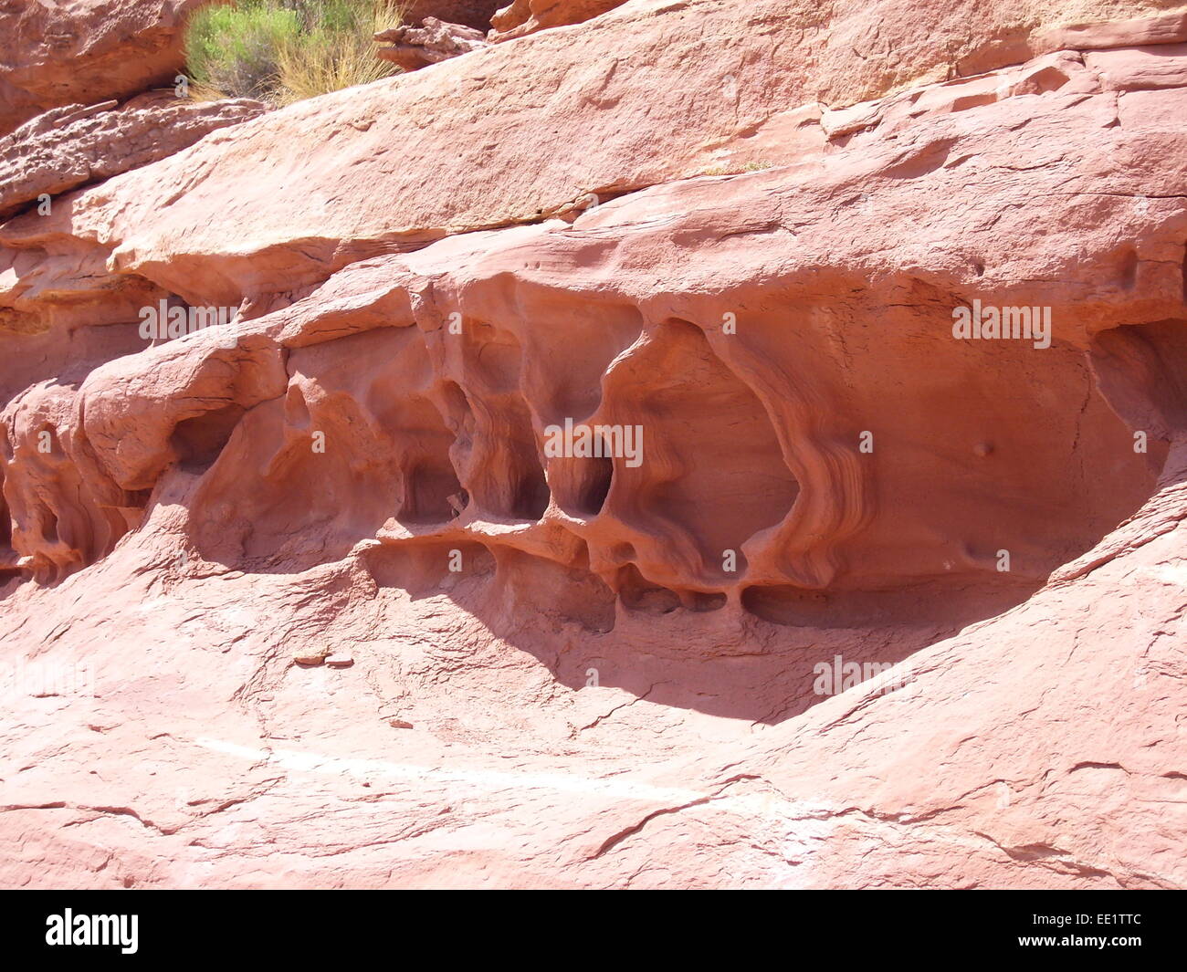 A sandstone formation in Canyonlands National Park. Utah, USA Stock Photo