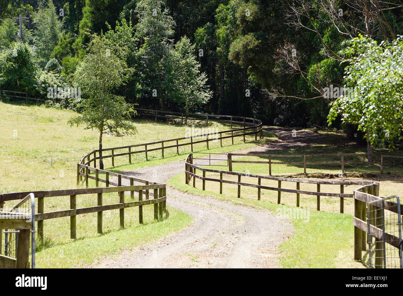 Winding drive way to country property Stock Photo Alamy