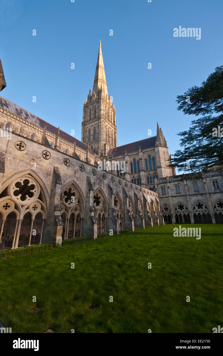 View Across The Cloisters Towards The Spire Of Salisbury Cathedral Wiltshire England UK Stock Photo