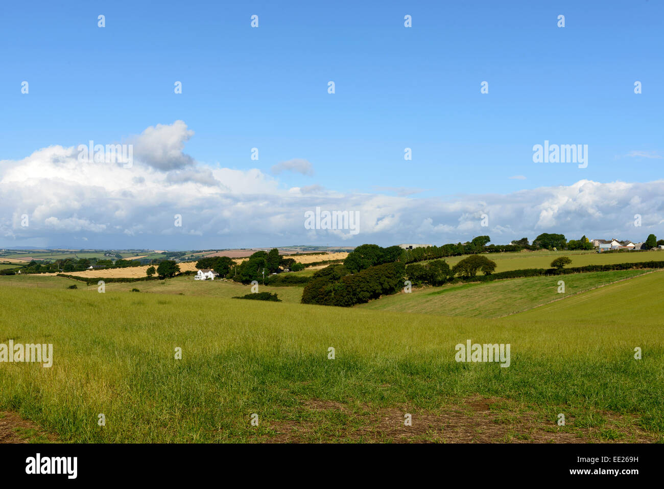 Lush green landscape hi-res stock photography and images - Alamy