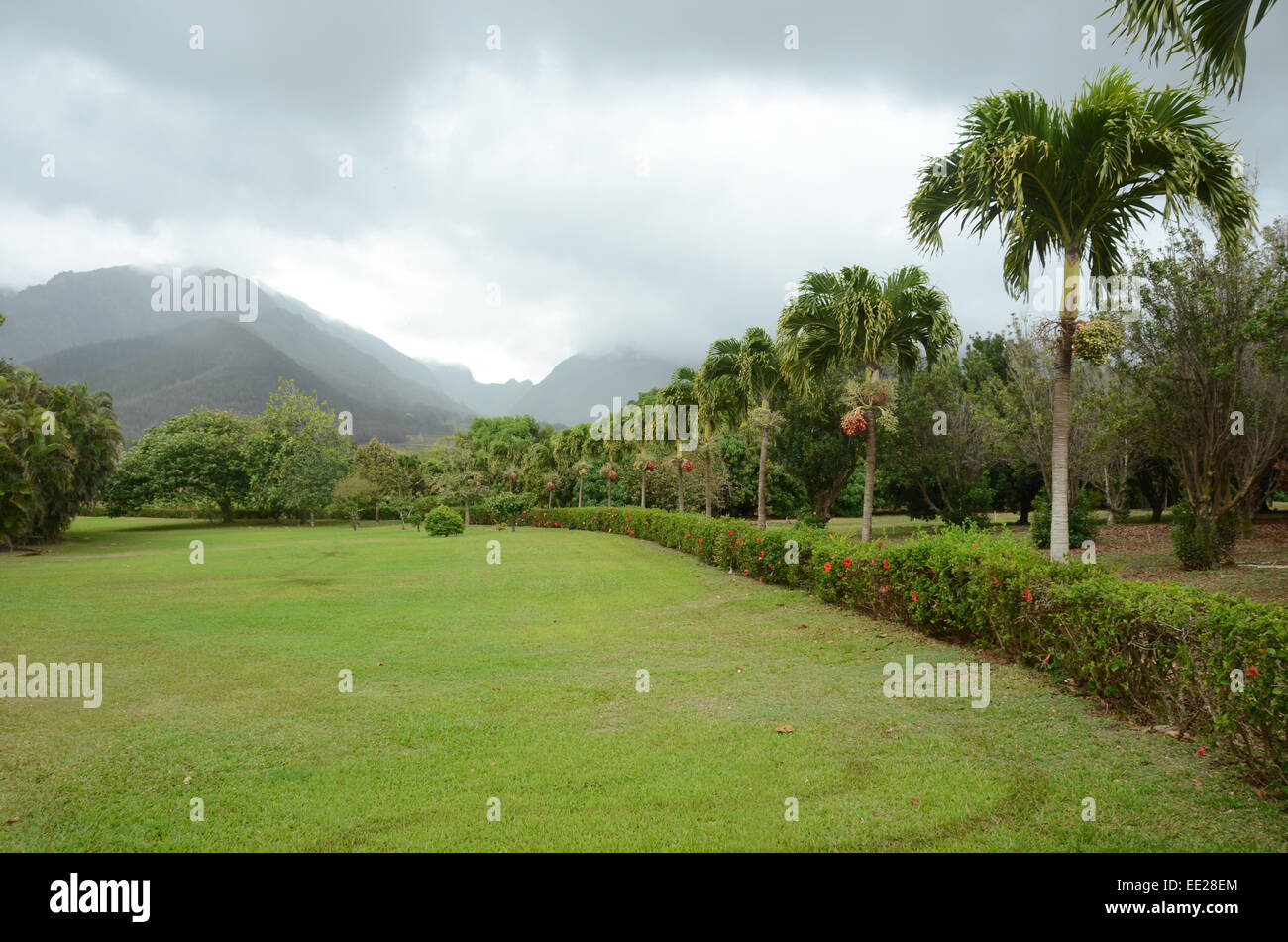 Lush tropical scenery from Maui, Hawaii Stock Photo Alamy
