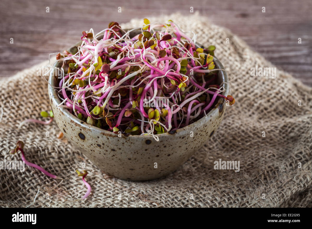 Fresh raw soy germs on a wooden background Stock Photo
