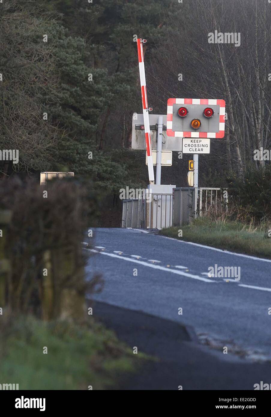 Train Crossing In Northern Ireland Stock Photo Alamy Train Crossing In Northern Ireland Stock Photo Alamy