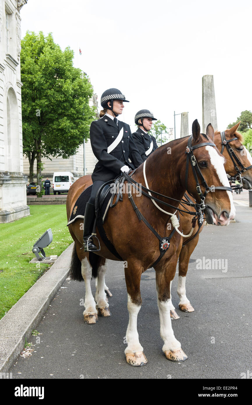 Policewomen on Police Horses Stock Photo Alamy
