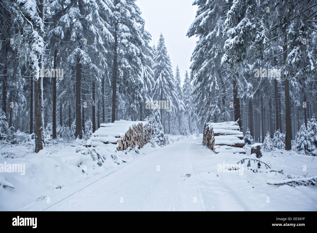 Cross-country skiing trail near Masserberg in Thuringia,  Germany Stock Photo