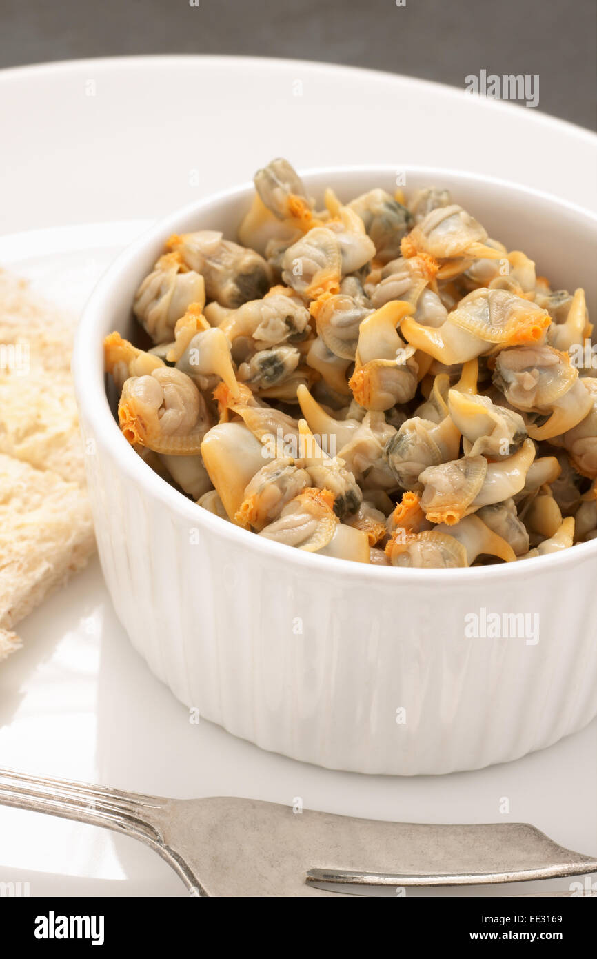 Cockle in vinegar hires stock photography and images Alamy