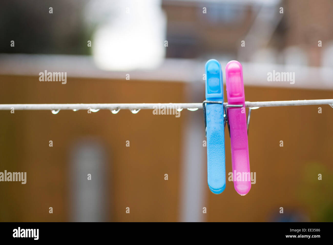 Two pegs on a washing line Stock Photo