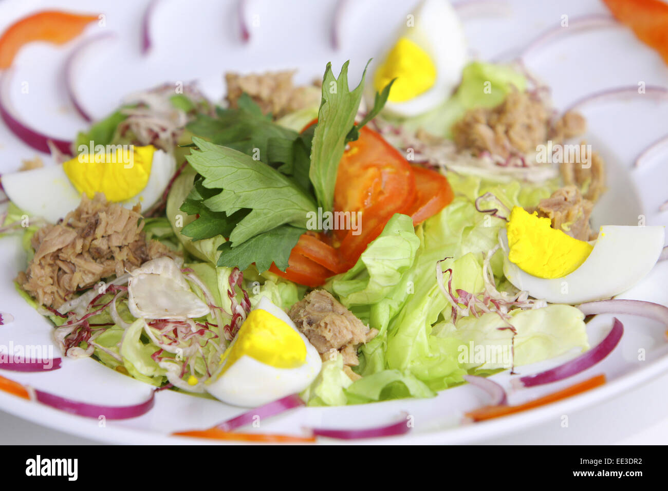 Ein Teller gemischter Salat, Speise, vegetarisch, Salat, Salatblaetter, Thunfisch, Ei, gekocht, Ernaehrung, gesund, gesundheitsb Stock Photo