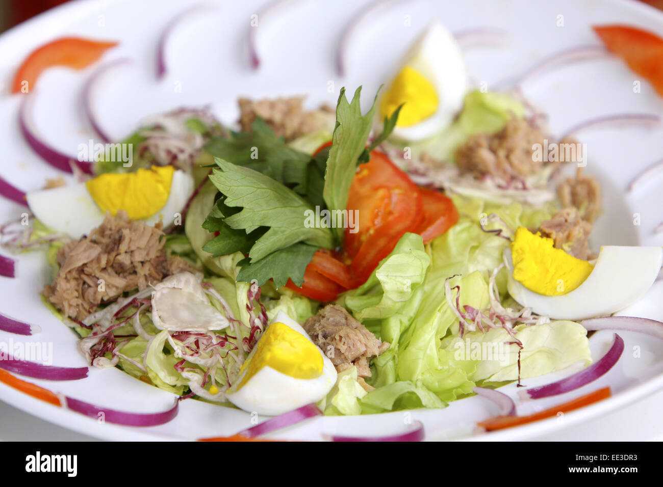 Ein Teller gemischter Salat, Speise, vegetarisch, Salat, Salatblaetter, Thunfisch, Ei, gekocht, Ernaehrung, gesund, gesundheitsb Stock Photo