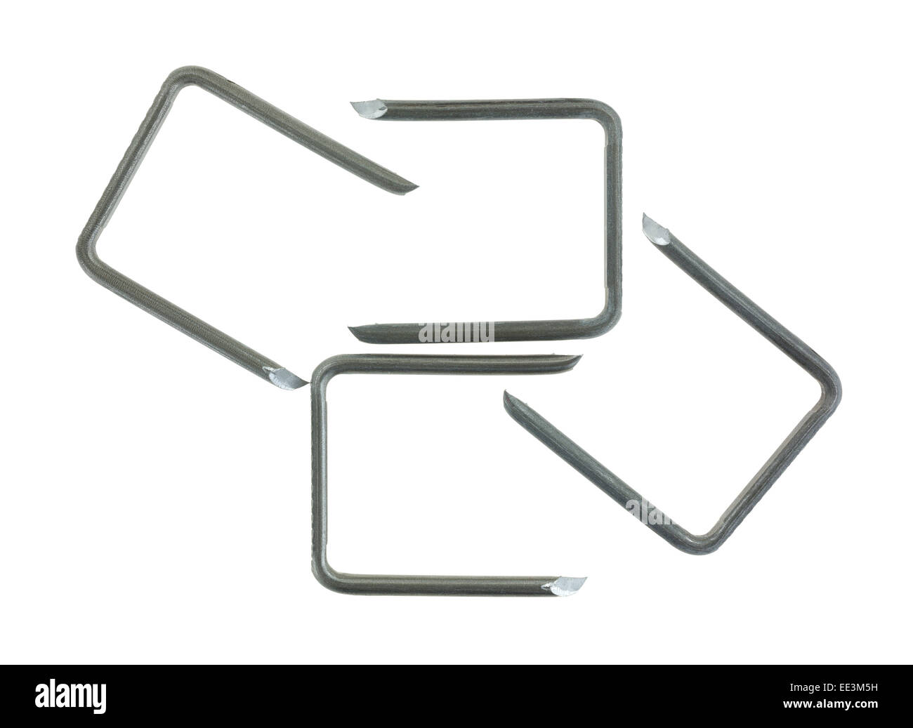 A group of commercial grade electrical cable staples on a white