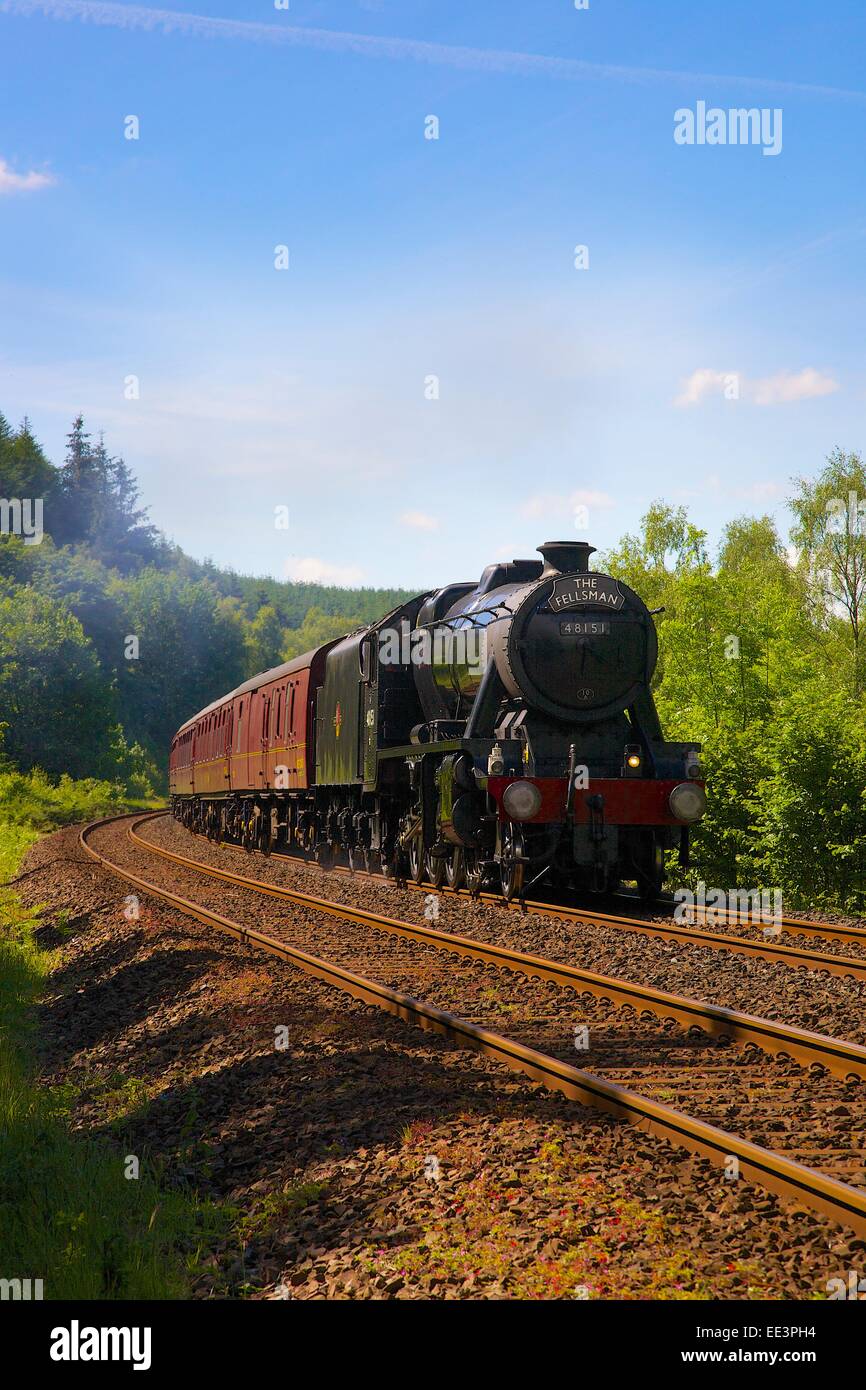 LMS Stanier Class 8F 48151, steam train near Lazonby, Eden Valley, Settle to Carlisle Railway Line, Cumbria, England, UK. Stock Photo