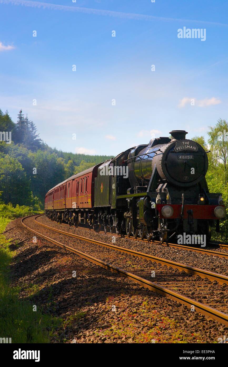 LMS Stanier Class 8F 48151, steam train near Lazonby, Eden Valley, Settle to Carlisle Railway Line, Cumbria, England, UK. Stock Photo