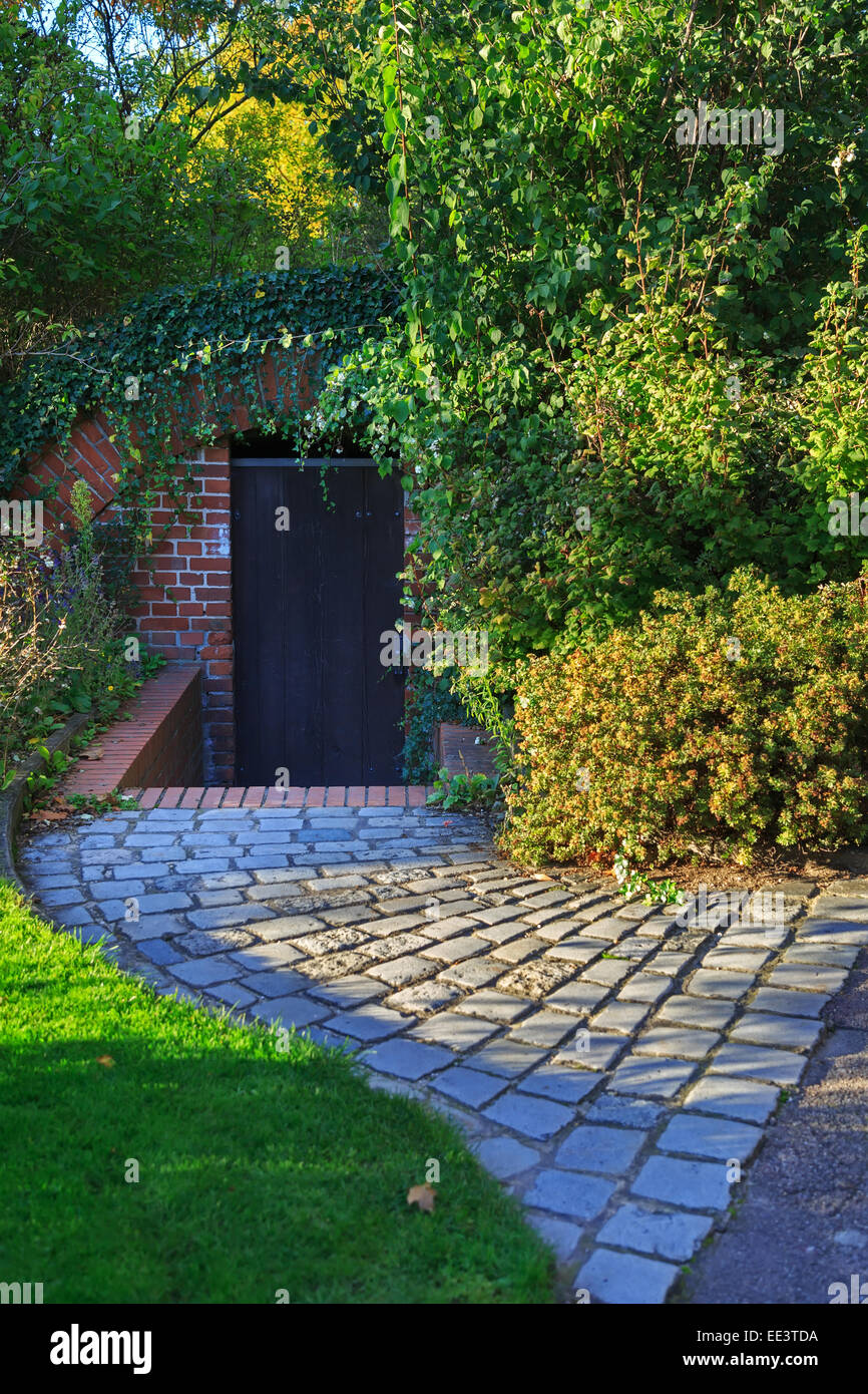 Closed door with vines and brick pavement Stock Photo