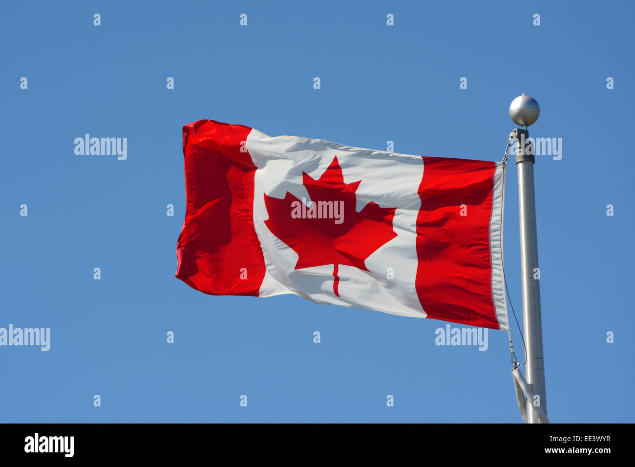 Canadian Flag in the wind Stock Photo