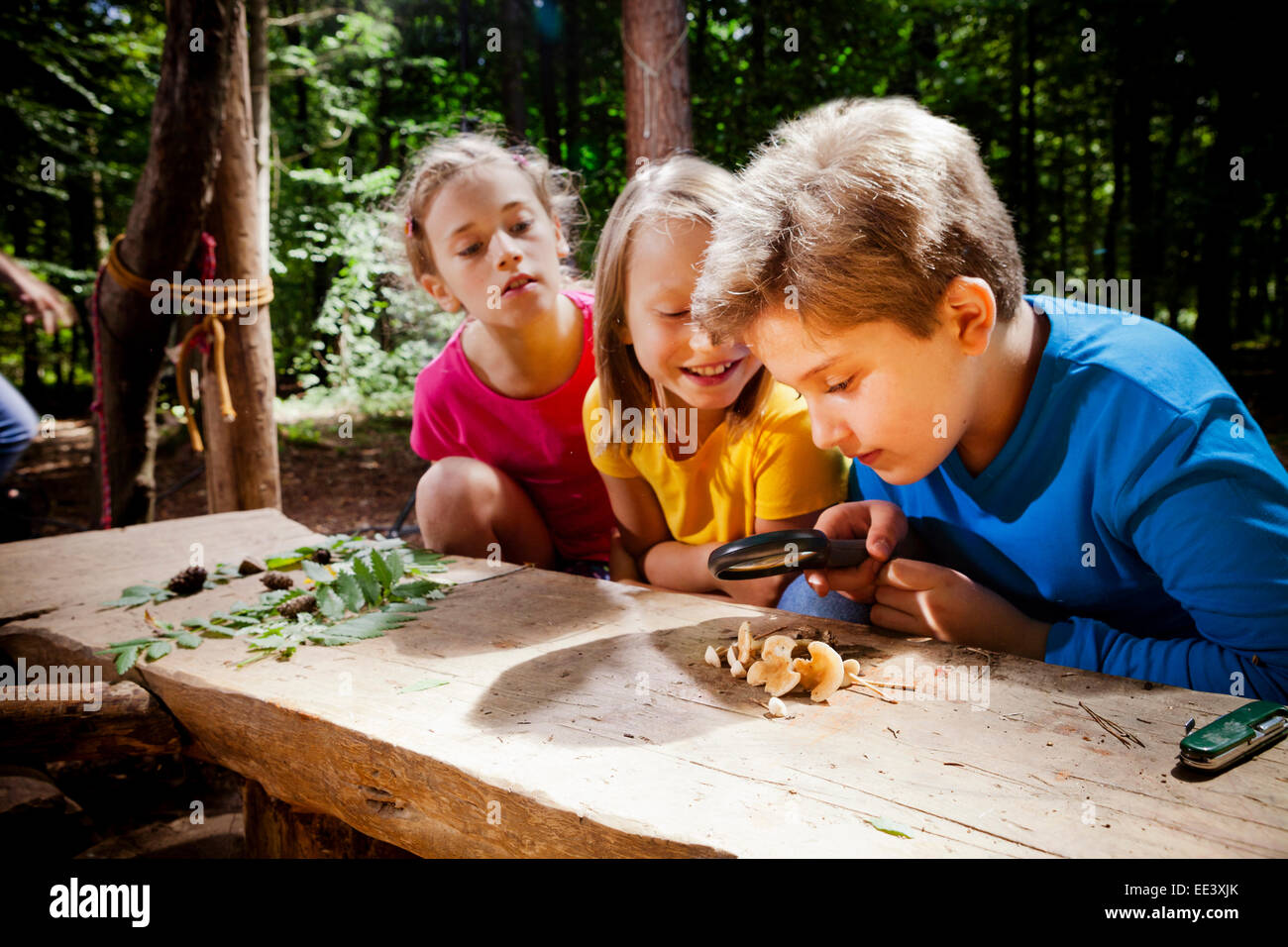 Children learning in a forest camp, Munich, Bavaria, Germany Stock Photo