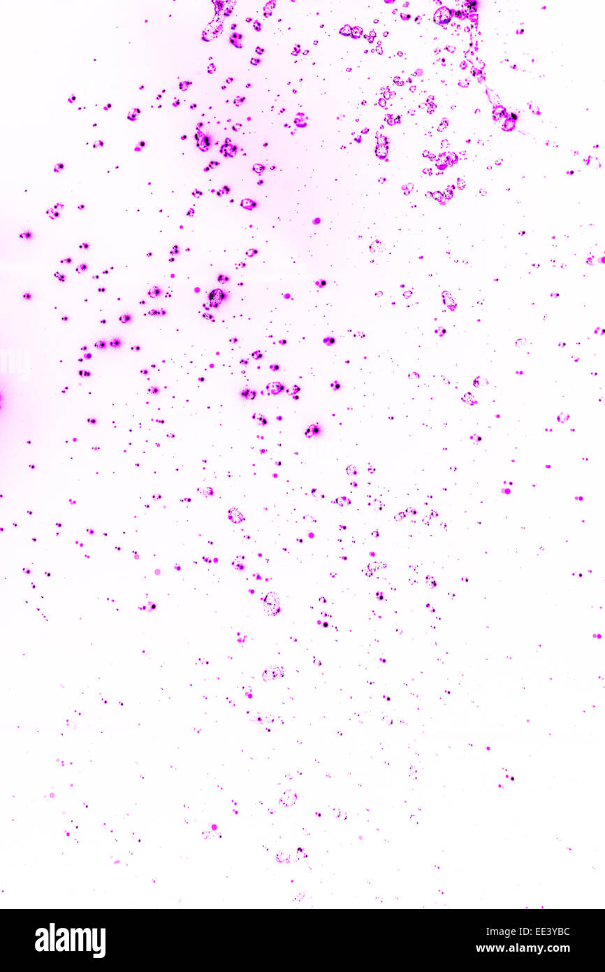 Abstract paint splatter Stock Photo - Alamy