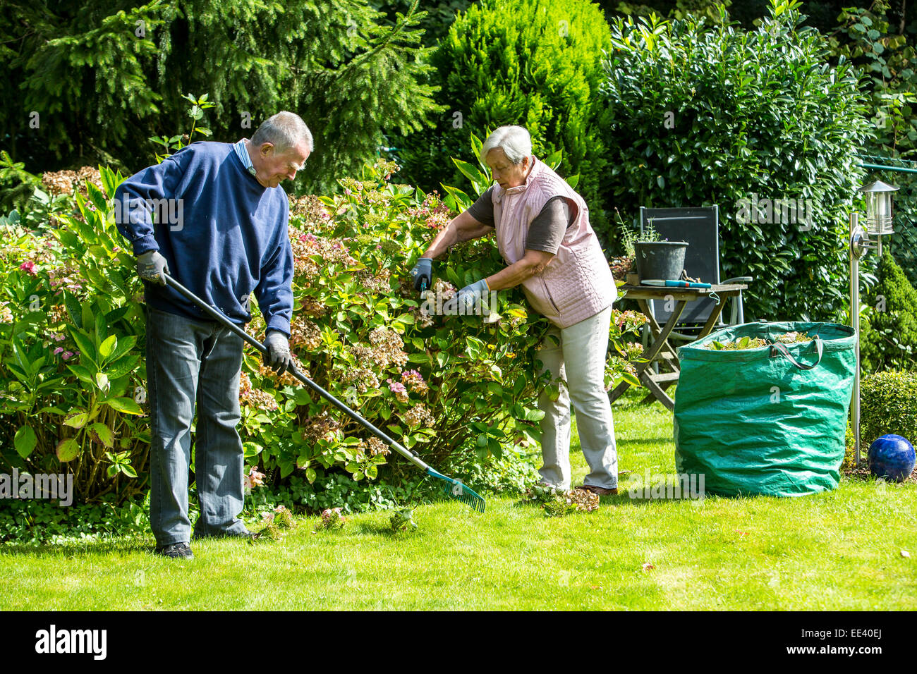 Seniors, elderly woman and her husband, in his 70s, working in the garden, Stock Photo