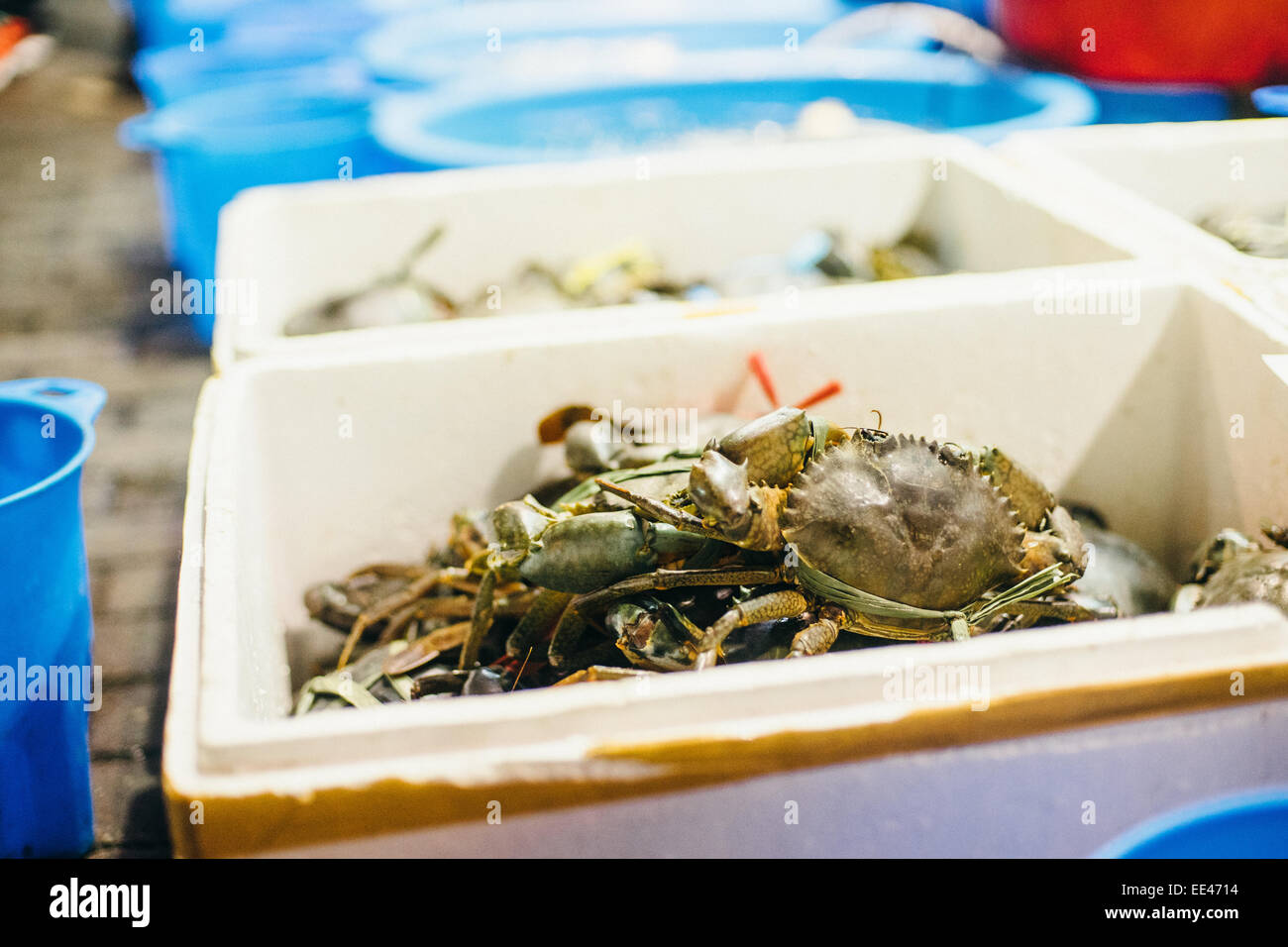 alive crabs for seafood restaurant in Hong Kong. Stock Photo