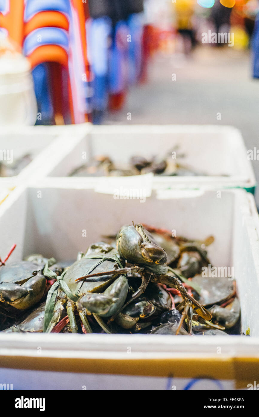 alive crabs for seafood restaurant in Hong Kong. Stock Photo