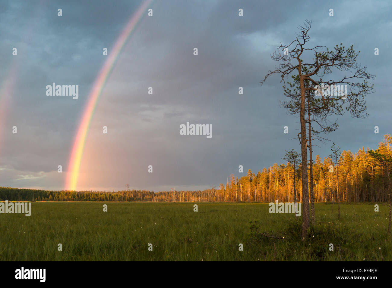 Regenbogen, rainbow, germany Stock Photo